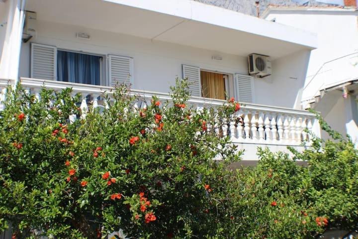 Apartments Zika Промайна Екстериор снимка